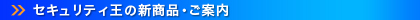 �Z�L�����e�B���̐V���i���ē�
