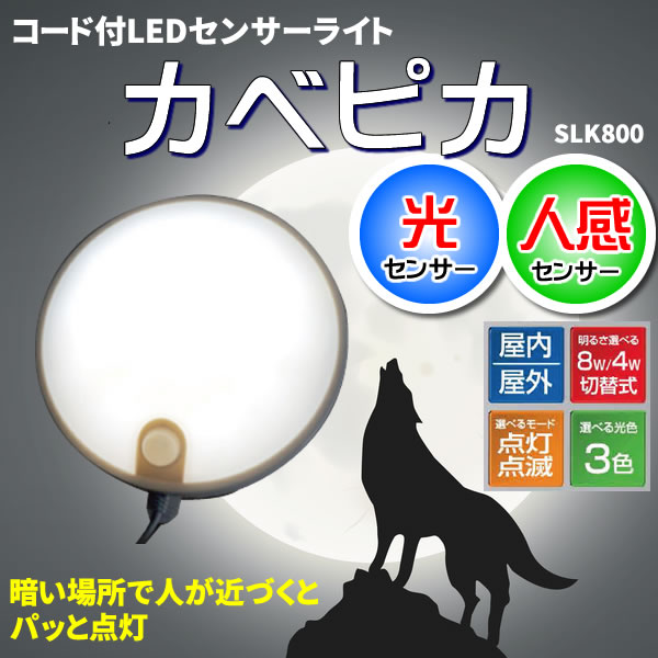 SALE／63%OFF】 リーベックス 防雨型 LEDセンサーライト カベピカ SLK800